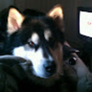 Meet your Posher, Kristie